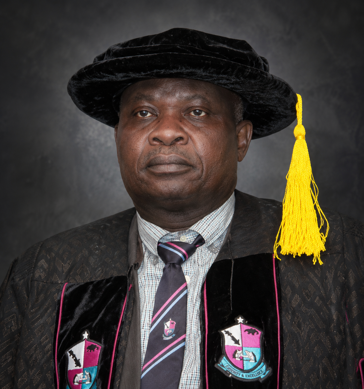 Prof Jide Owoeye